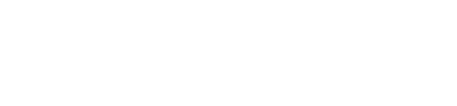 Rally Fleet Services